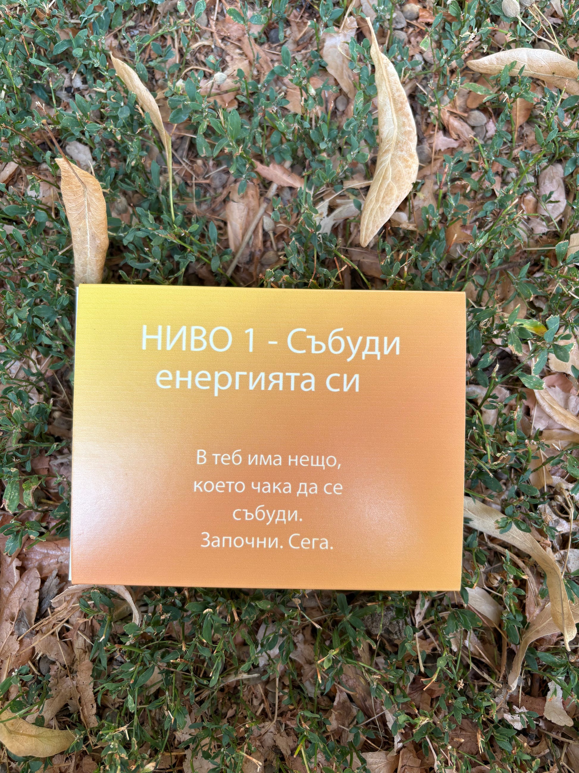 НИВО 1 - Събуди енергията си